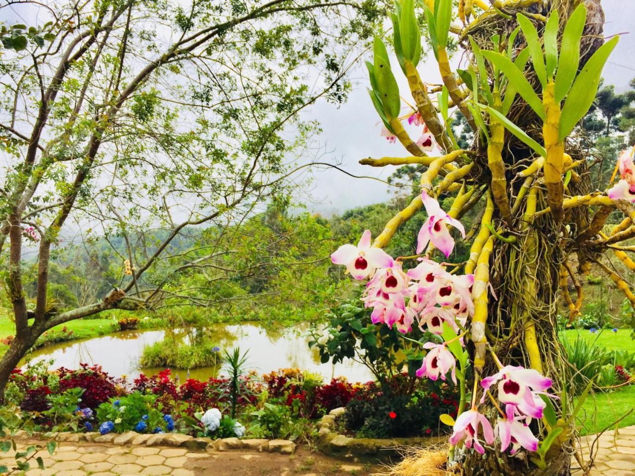 Casa Do Lago Caparao Pedra Menina Dış mekan fotoğraf